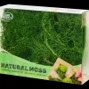 Decoratief mos | Action NL