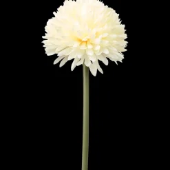 The Hamptons Collections HOME bolchrysant op steel | Action NL