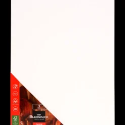 Van Bleiswijck schilderspanelen | Action NL